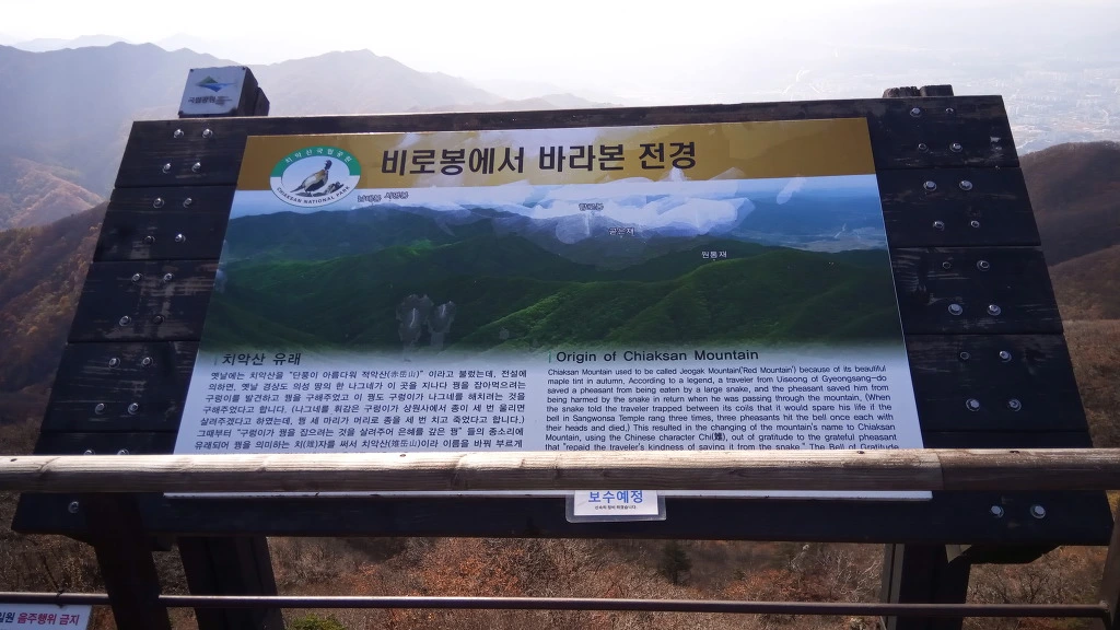 9965AD375BCBEB1A12CB29