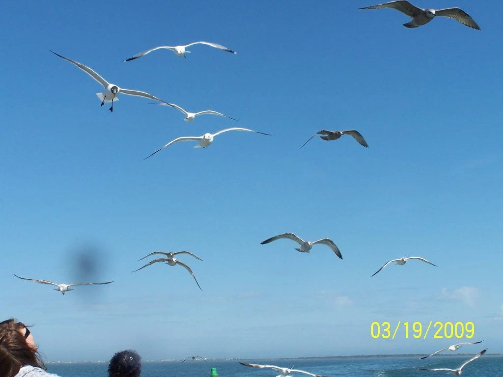 2546424958C3517B029D5F