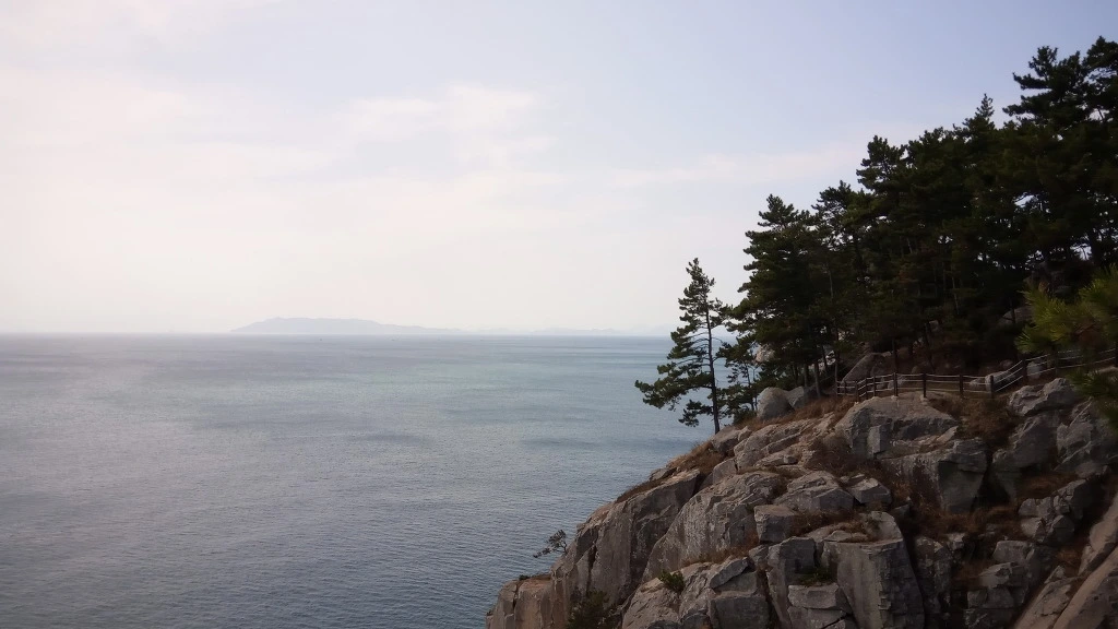 99B70F4B5B9B2EA7214C66