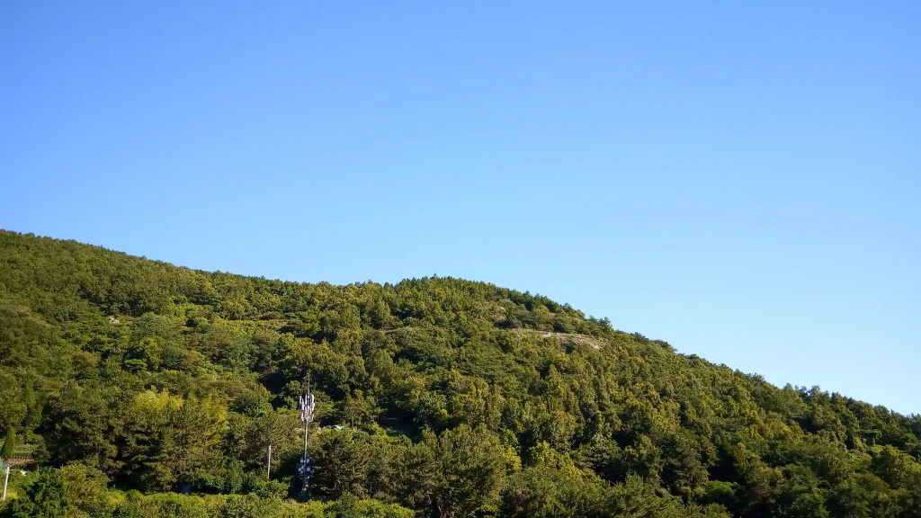 995FF4375B3C31DB14E1E6