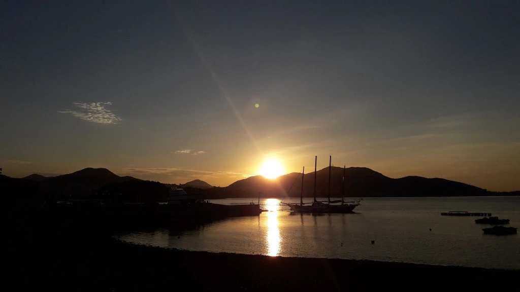 9978883359AA198F29A16F