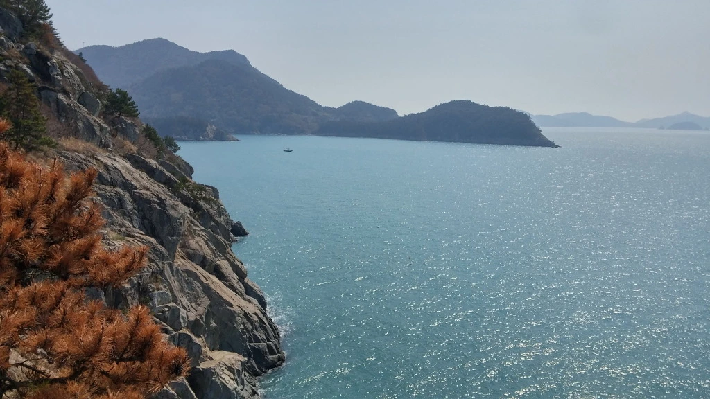 99D9403F5ABB56F212D96D