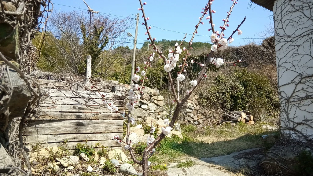 9935283A5ABB56ED151C2B