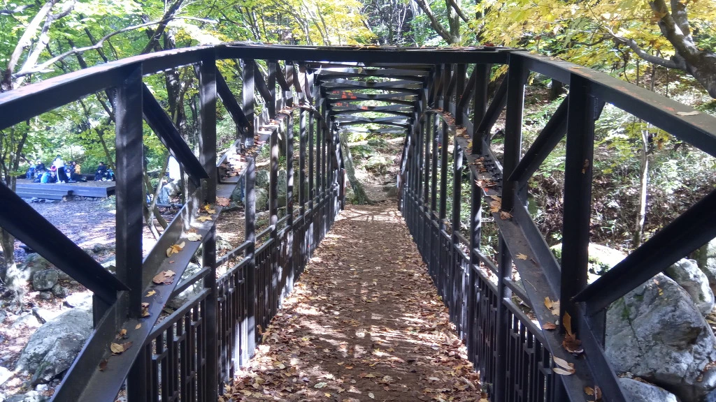 9991A63E5BCBE8070ED55B