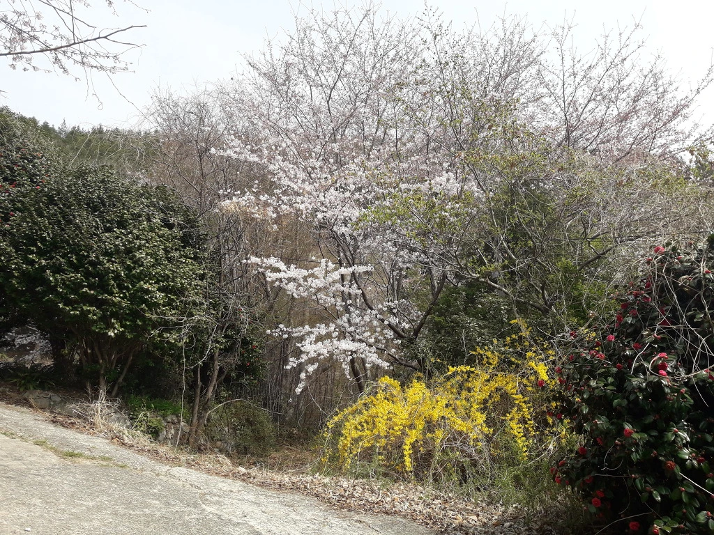 9925EC3E5AC0CE112E5283