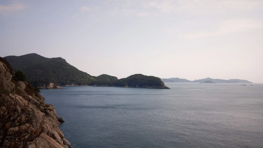 9964E54B5B9B2EA623657D