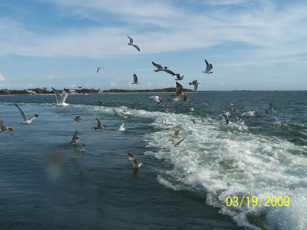 26402F5058C3517D29C425