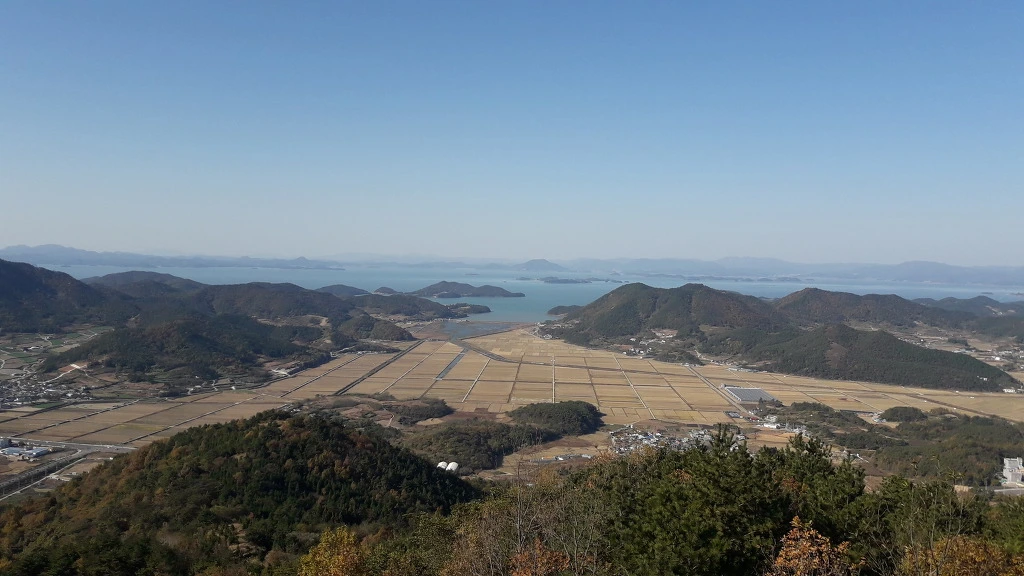 996CEC335A13879012102D