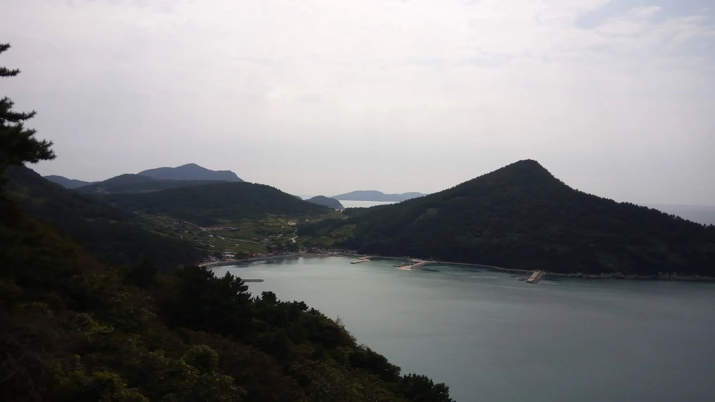 99B4DE485B9A338608E958