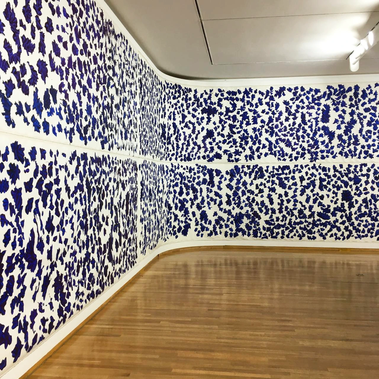 플랫랜드 (22).JPG