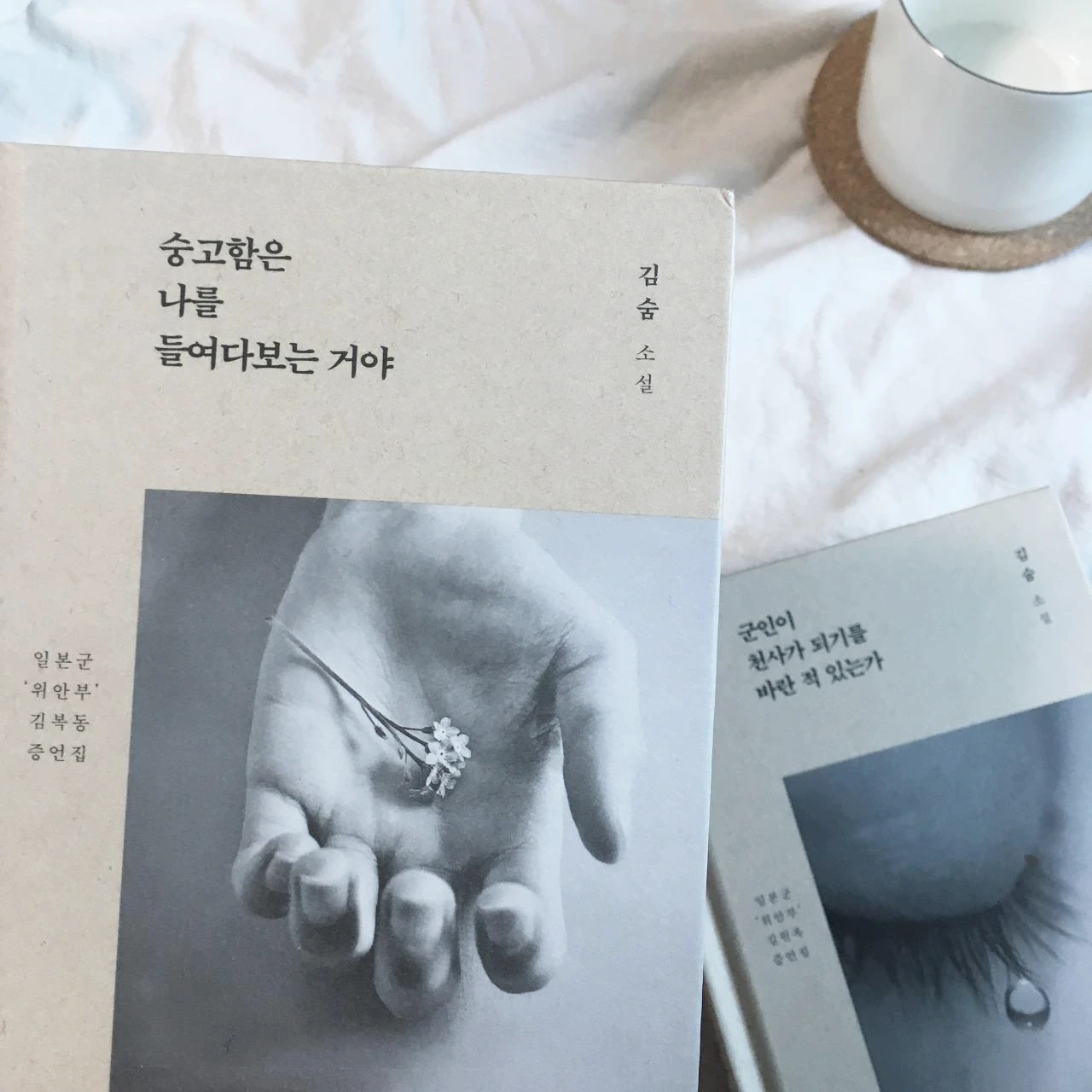 위안부증언집 (4).JPG