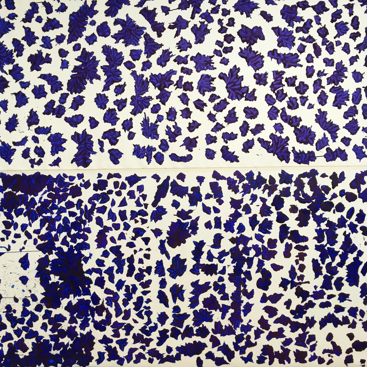 플랫랜드 (21).JPG