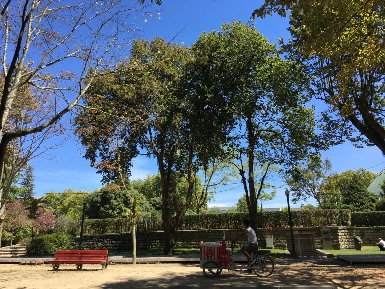 IMG_0619.JPG?type=w773