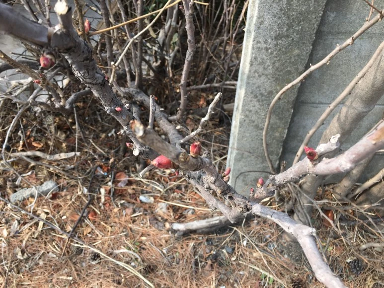 IMG_2946.JPG?type=w773