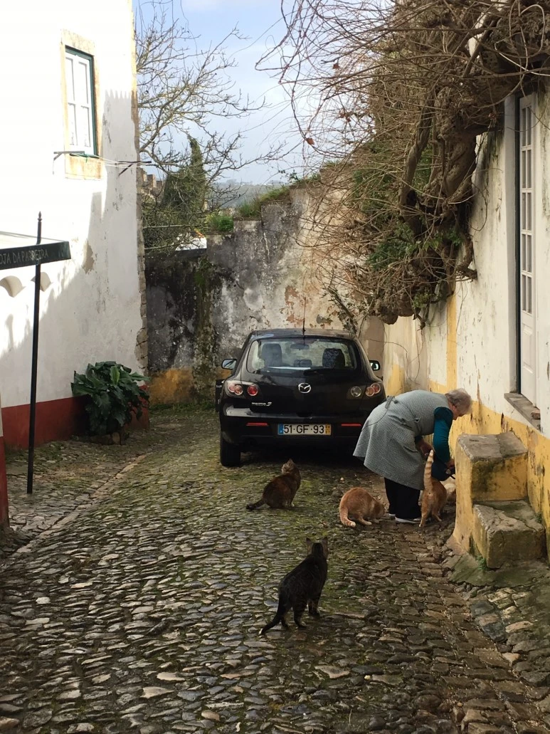 P20190201_121026747_A6B888AC-423D-4288-B3F1-E687B058298E.JPG?type=w773