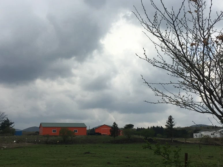 IMG_4308.JPG?type=w773