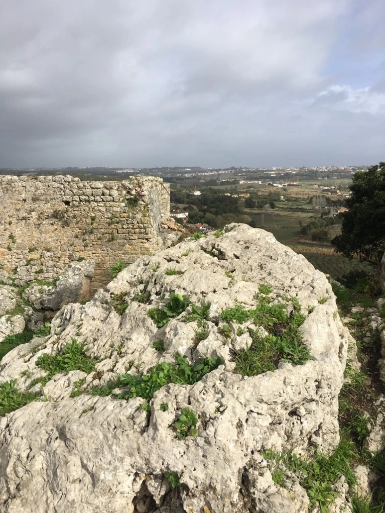 P20190201_124656659_BBADEEF0-31F6-4747-960F-149FD2756C15.JPG?type=w773