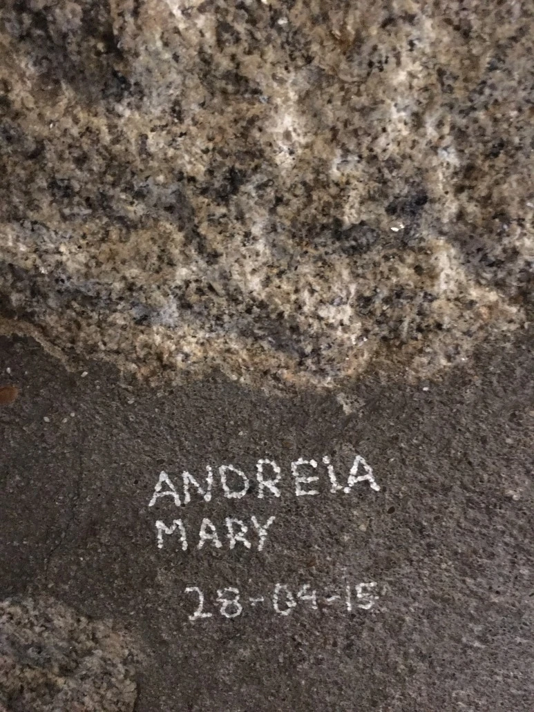 IMG_0265.JPG?type=w773