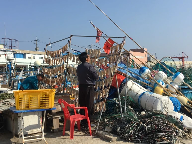 IMG_2841.JPG?type=w773