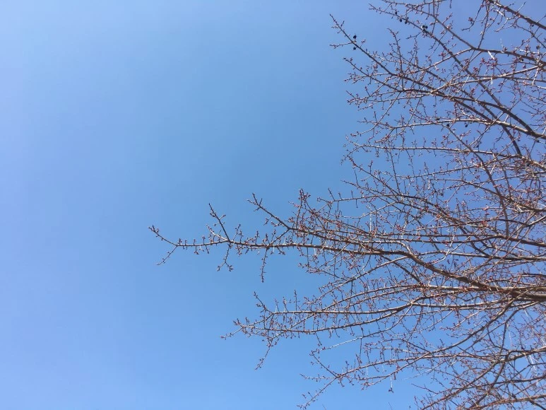 IMG_3006.JPG?type=w773