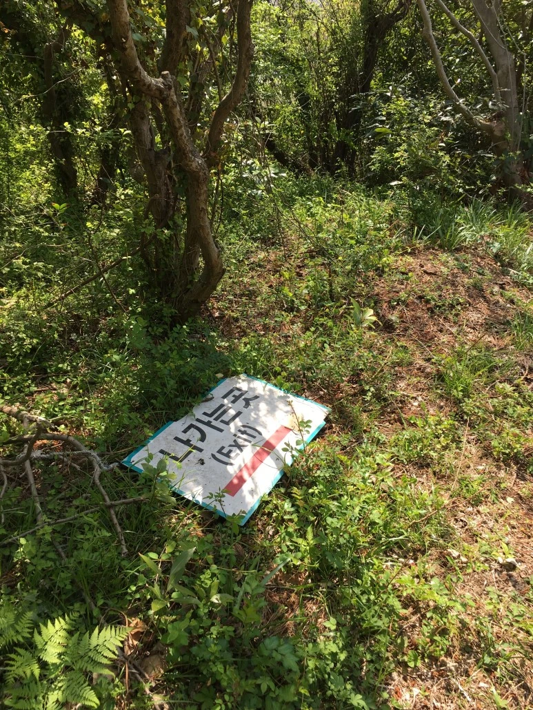 IMG_4741.JPG?type=w773