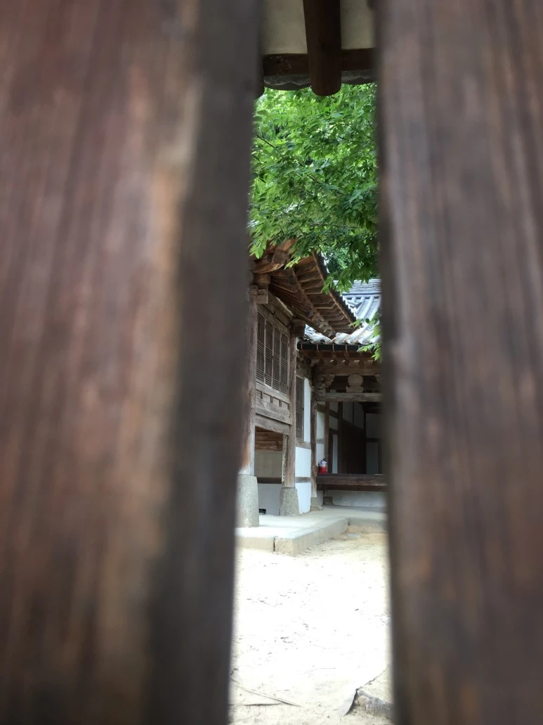 P20180729_153955746_7F9D963B-F120-4062-BD07-DE270760A56D.JPG?type=w773