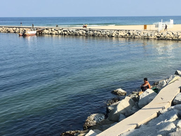 IMG_2885.JPG?type=w773