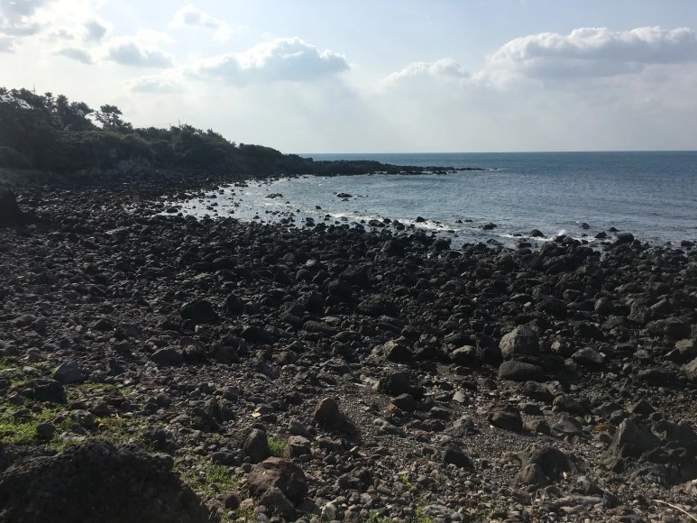 IMG_4260.JPG?type=w773