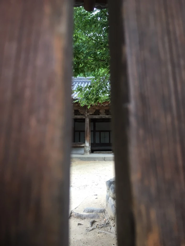 P20180729_153949508_28970C83-CE11-4D07-A72C-F5F19AA375A1.JPG?type=w773