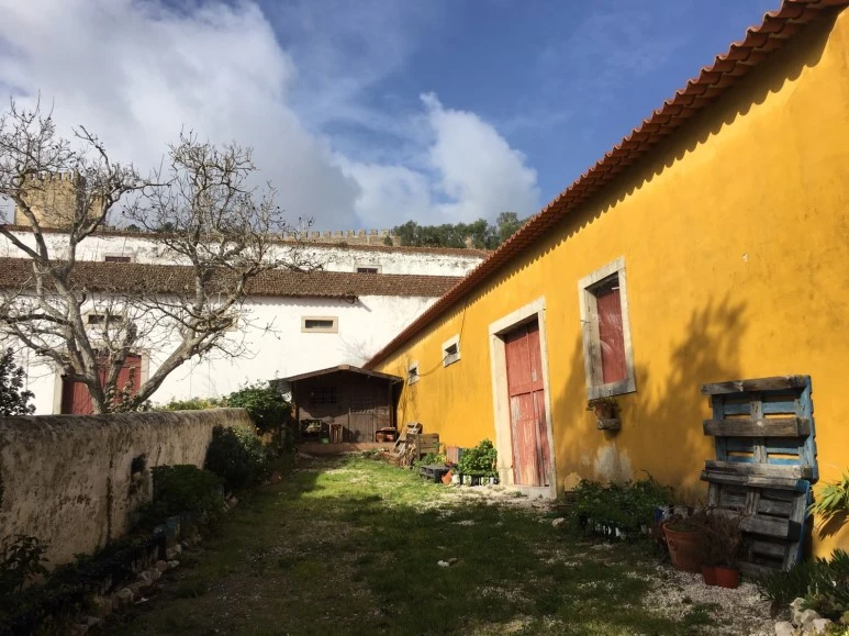 P20190201_110650691_FD430BE8-9D62-4460-A482-7A564110E9C5.JPG?type=w773