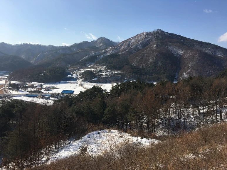 IMG_0529.JPG?type=w773