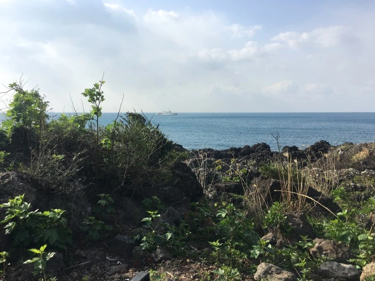 IMG_4256.JPG?type=w773