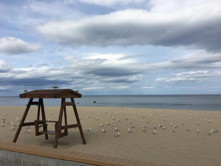 IMG_3278.JPG?type=w773