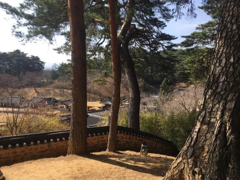 IMG_3065.JPG?type=w773