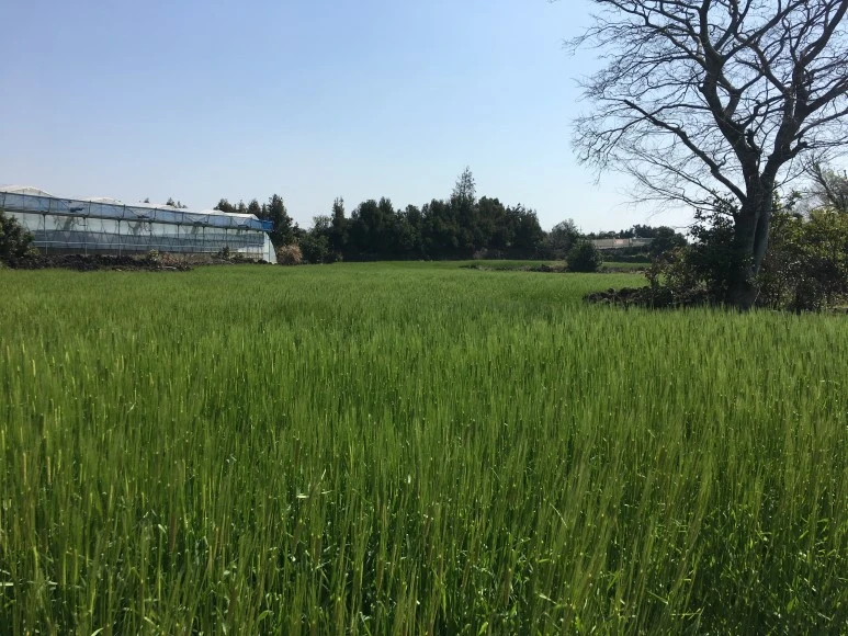 IMG_4759.JPG?type=w773