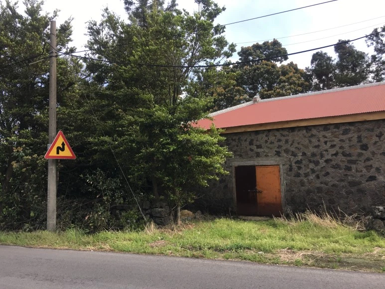 IMG_4380.JPG?type=w773