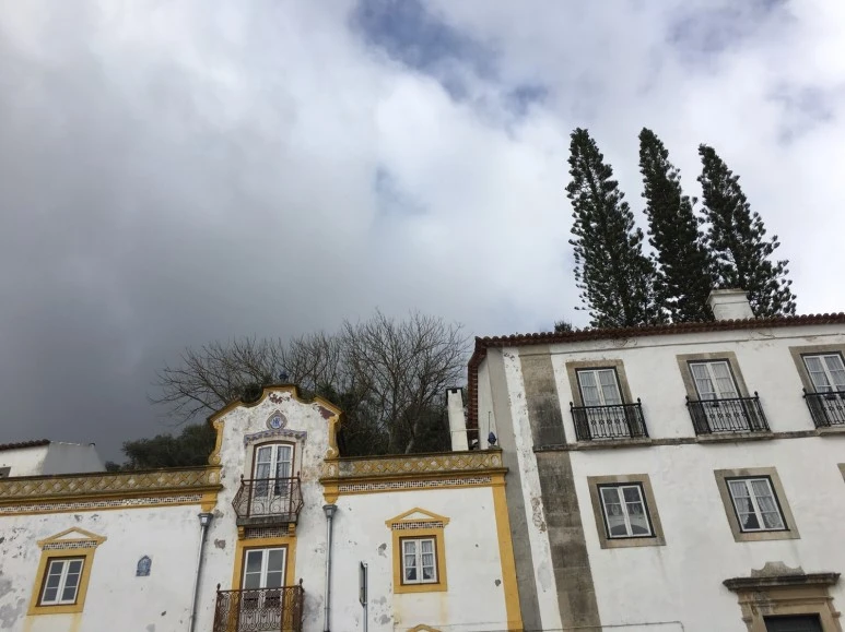 P20190201_110952585_DEF6E4C6-8AB3-431A-A2A4-44CECD33D465.JPG?type=w773