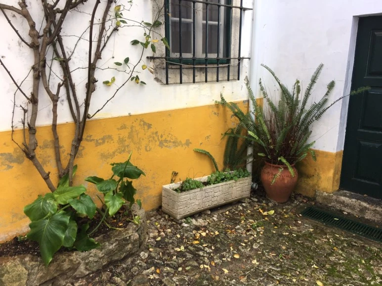 P20190201_130623375_27A805AD-721B-4619-A104-B1D99EC94329.JPG?type=w773