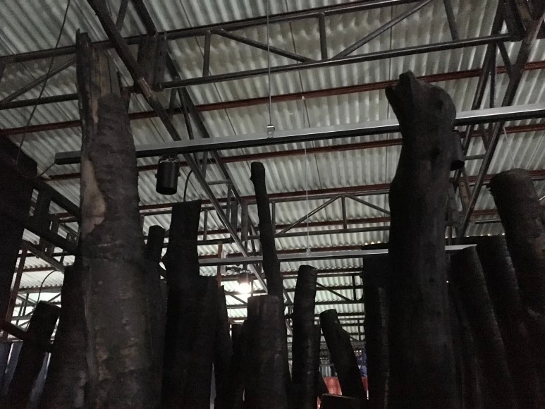 IMG_2705.JPG?type=w773