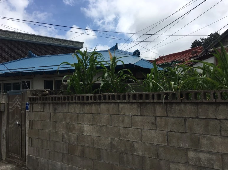 P20180729_130240668_A7BA764F-6749-4A5B-AD14-495FB4E099E9.JPG?type=w773