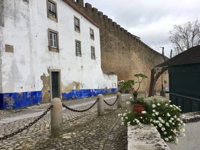 P20190201_111031558_BEB4B7E9-1E5B-447A-B346-7B42B4AC96F3.JPG?type=w773