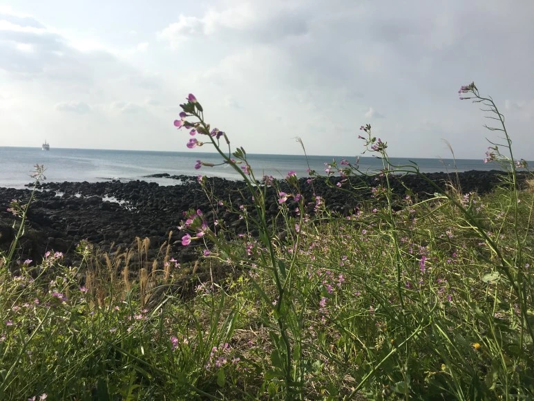 IMG_4246.JPG?type=w773