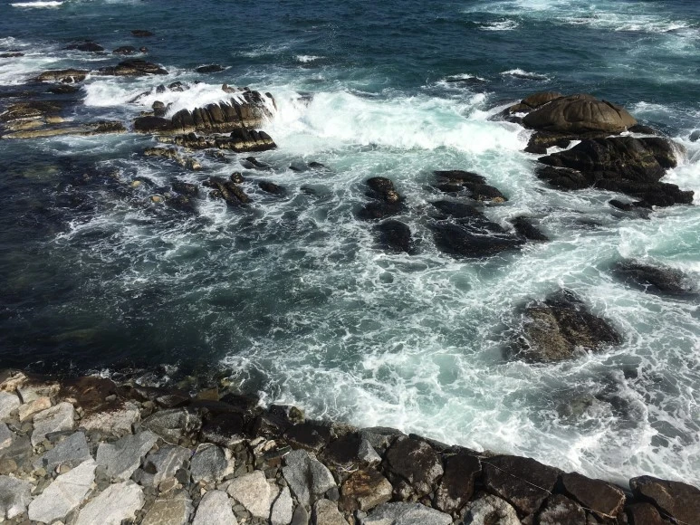 IMG_2817.JPG?type=w773