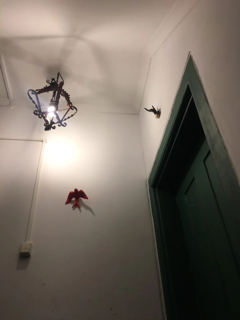 P20190131_201913124_1D84E70B-D859-40BD-B48C-8AF867201FD3.JPG?type=w773