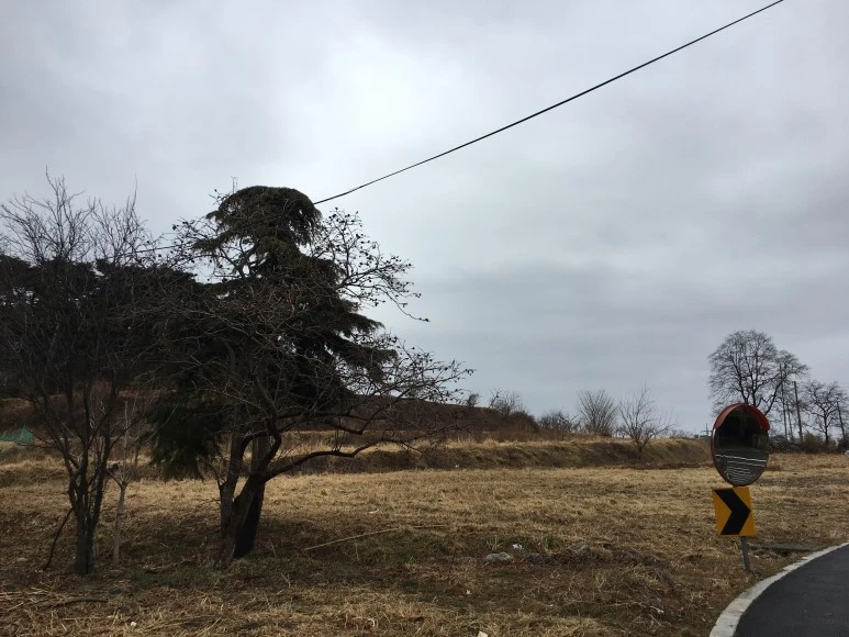 IMG_2713.JPG?type=w773