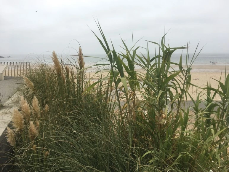 IMG_0105.JPG?type=w773