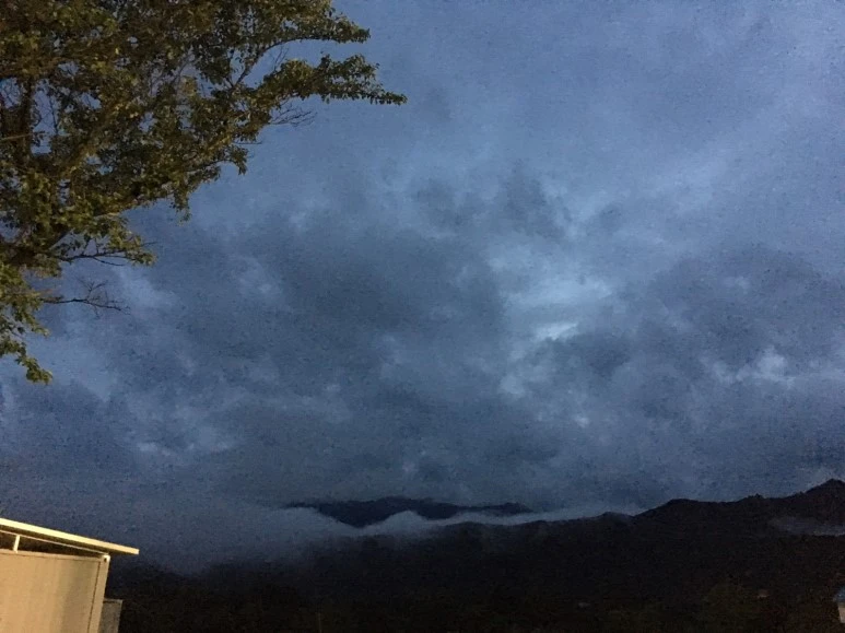 P20180710_201546814_BD2605D4-BDFE-4C8E-9828-A60E3A1BA0C9.JPG?type=w773