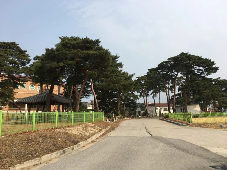 IMG_2965.JPG?type=w773