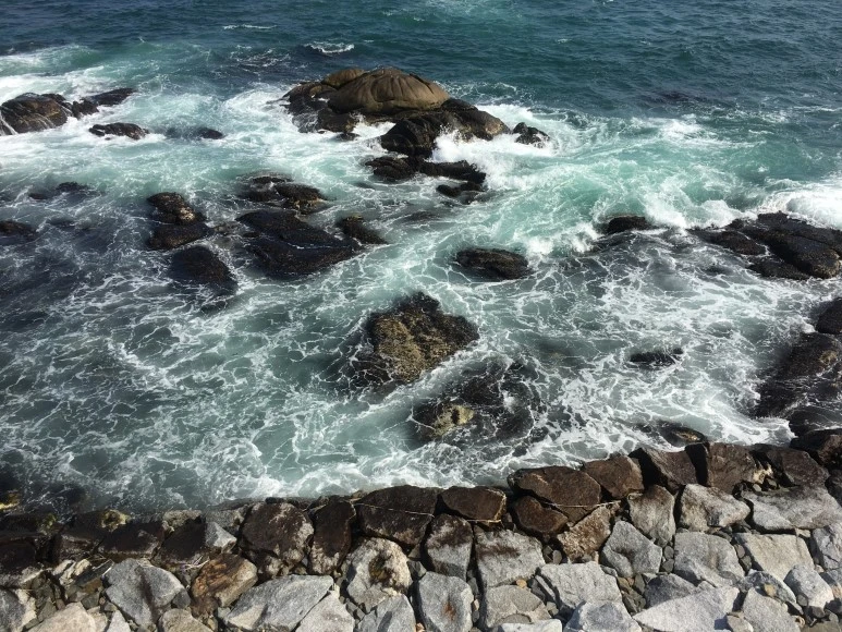 IMG_2822.JPG?type=w773