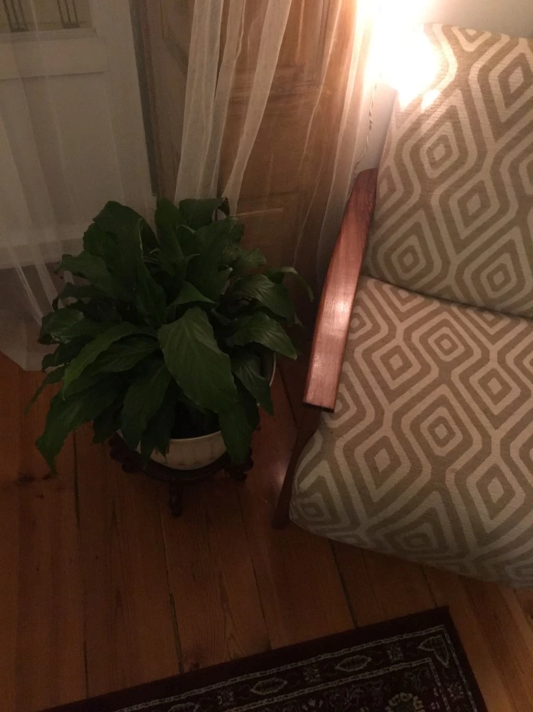 P20190131_204410427_14093E1B-B2DB-4761-9B01-7679E704D730.JPG?type=w773